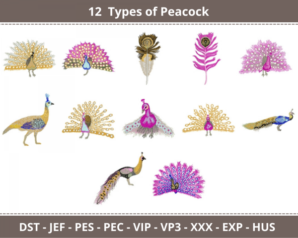 Peacock Machine Embroidery Designs