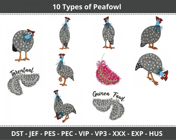 Peafowl Bird Machine Embroidery Design