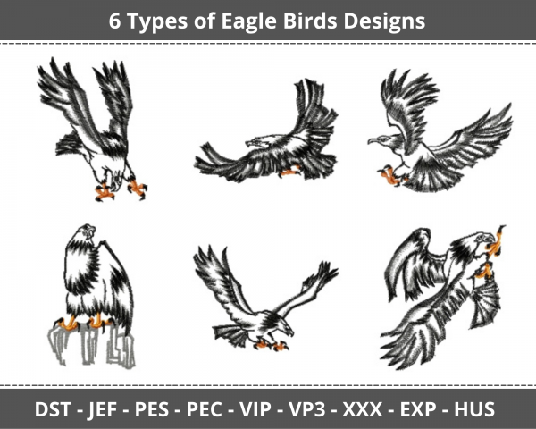 Eagle Birds Machine Embroidery Design