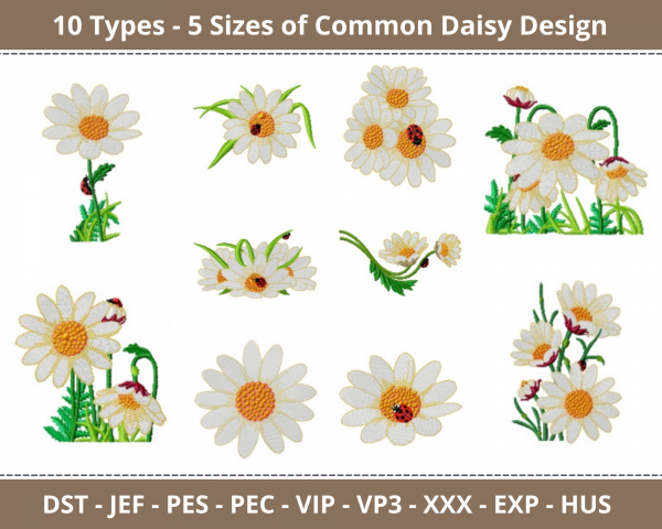 Common Daisy Machine Embroidery Designs