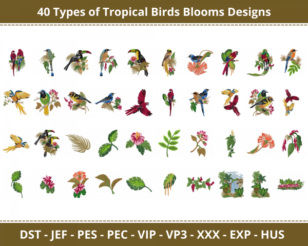 Tropical Birds Blooms Machine Embroidery Designs-40 Types 1 - Size-instant download