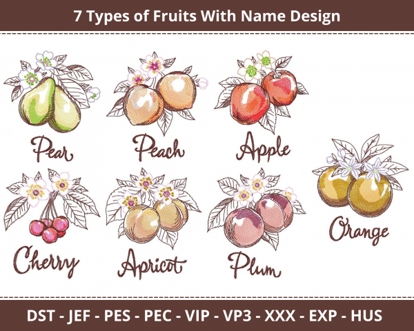 Fruits with name Machine Embroidery Designs-1 Size-instant download