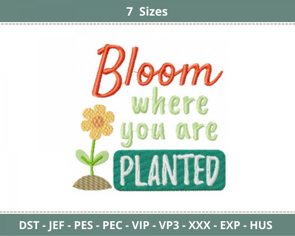 Bloom where you are planted Quotes Embroidery Design - Machine Embroidery Pattern - 7 Sizes - Instant Download