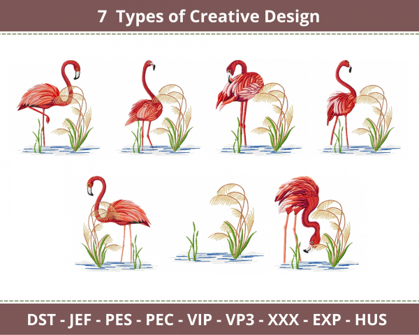 Bird Embroidery Design-7 Types-Instant Download Online