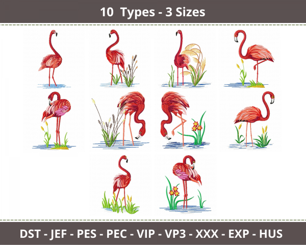 Bird Embroidery Design-10 Types-3 Sizes-Instant Download