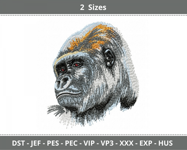 Chimpanzee Machine Embroidery Designs-2 Sizes-instant download