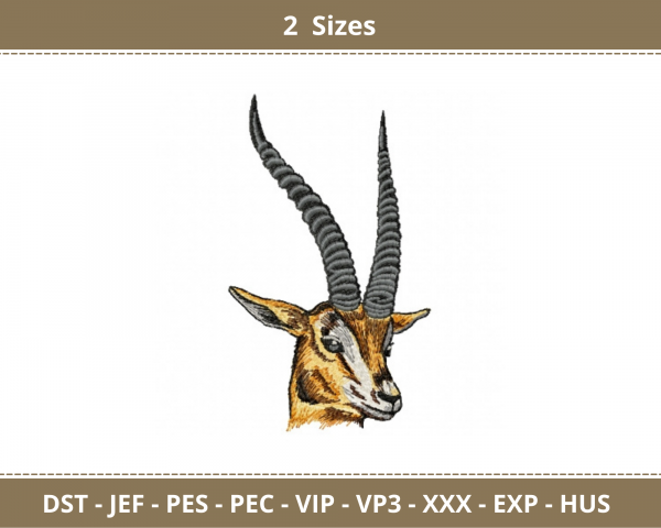 Wild Animal Machine Embroidery Designs-2 Sizes-instant download