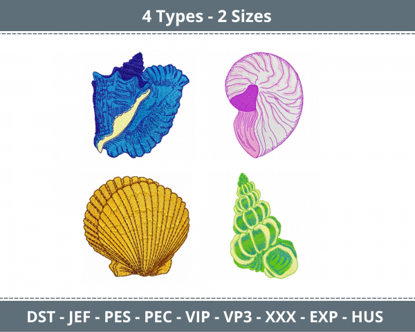 Sea Shells Machine Embroidery Designs-2 Sizes-4 Types-instant download