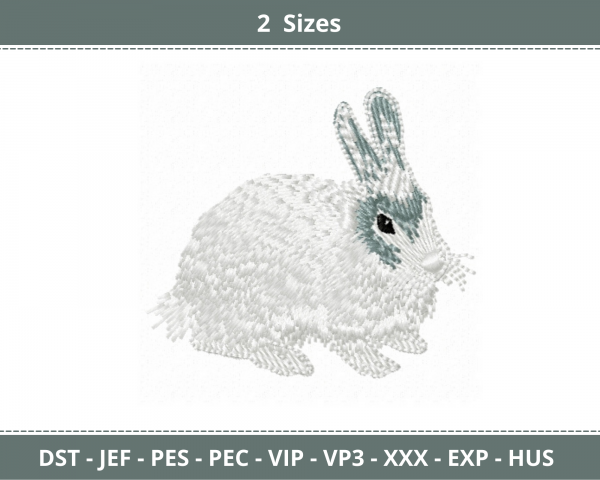Rabbit Machine Embroidery Designs