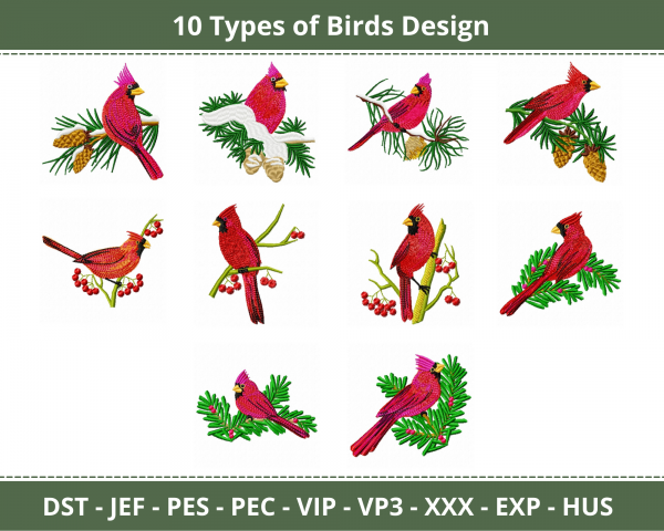 Creative Birds Machine Embroidery Designs-1 Size-10 Types-instant download