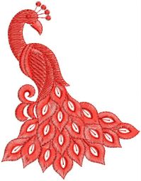 peacock  embroidary design