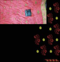 pallu skirt saree embroidery design