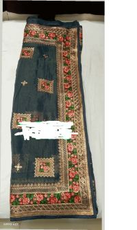 c-pallu dhga consept saree embroidery design