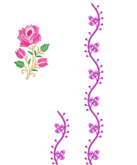 Lace And Border Embroidery Design